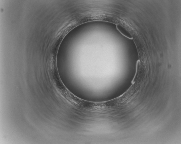 X0000069840744200606021401