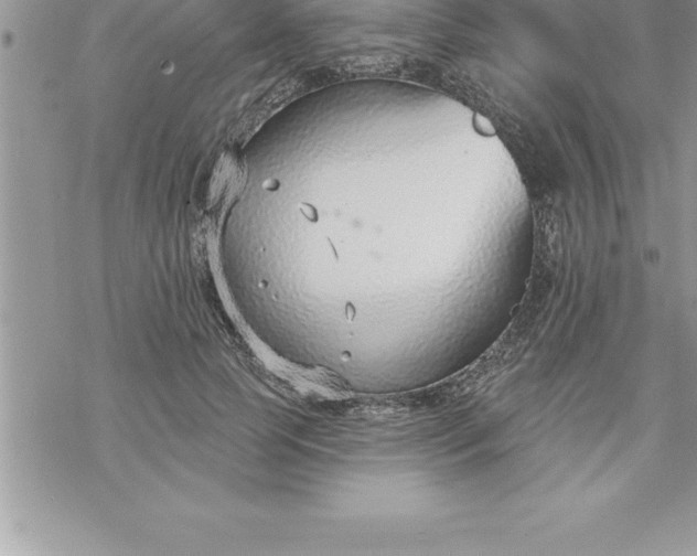 X0000069840745200606021401