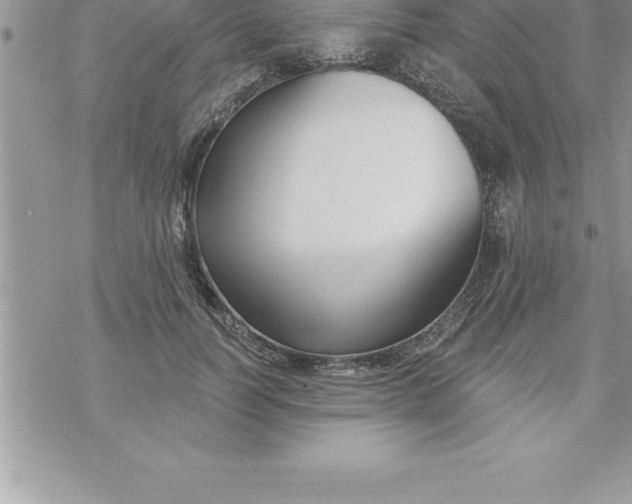 X0000069840746200606021401