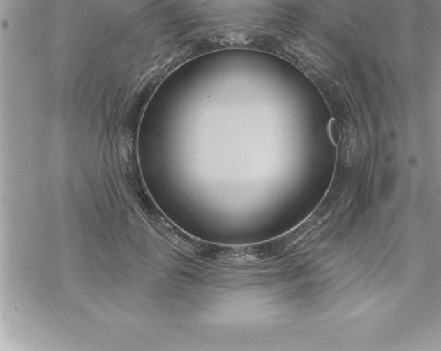 X0000069840747200606021401