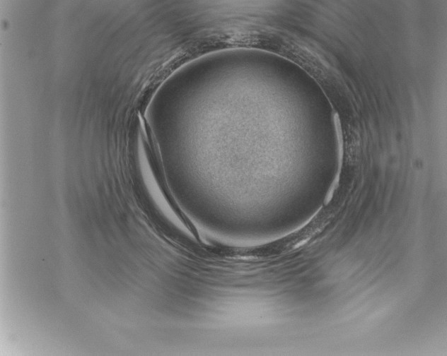 X0000069840748200606021401