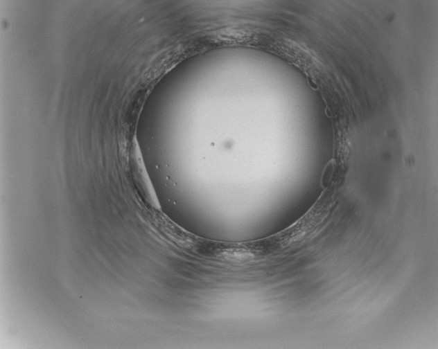 X0000069840749200606021401