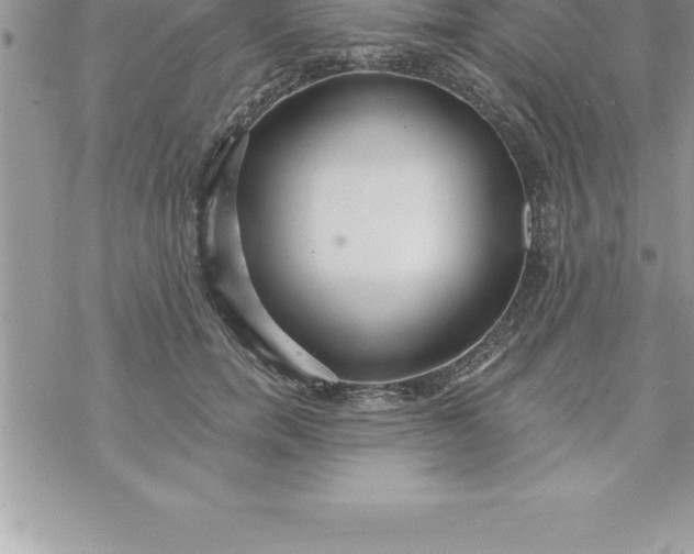 X0000069840750200606021401