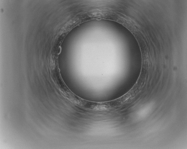 X0000069840751200606021401