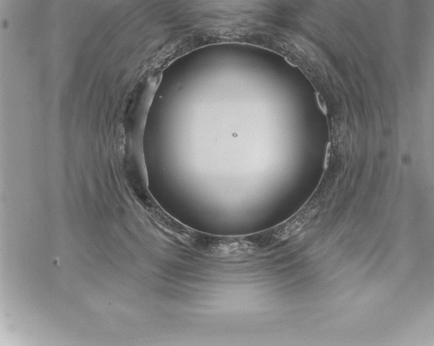 X0000069840752200606021401