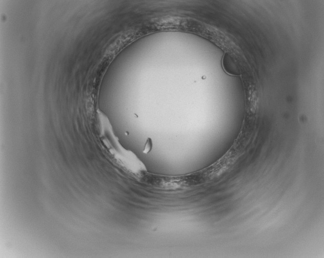 X0000069840753200606021401