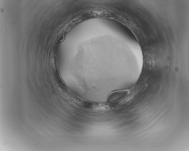 X0000069840754200606021401