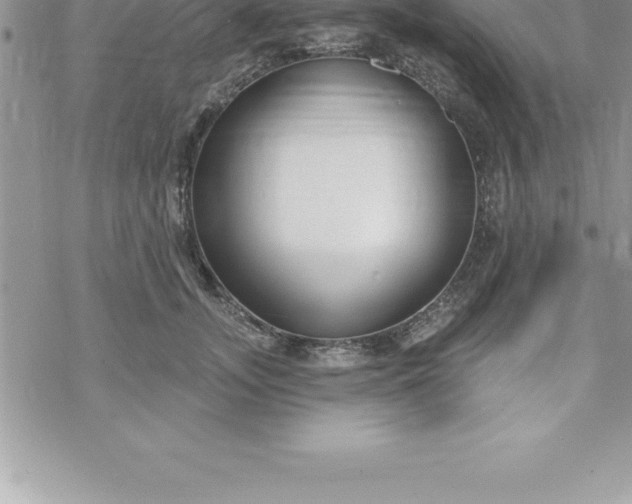 X0000069840755200606021401