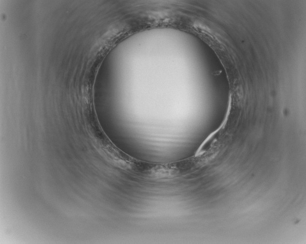 X0000069840756200606021401