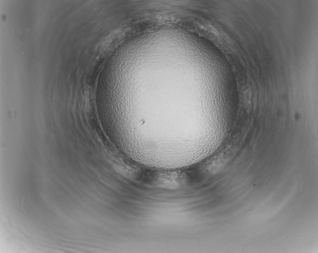 X0000069840757200606021401