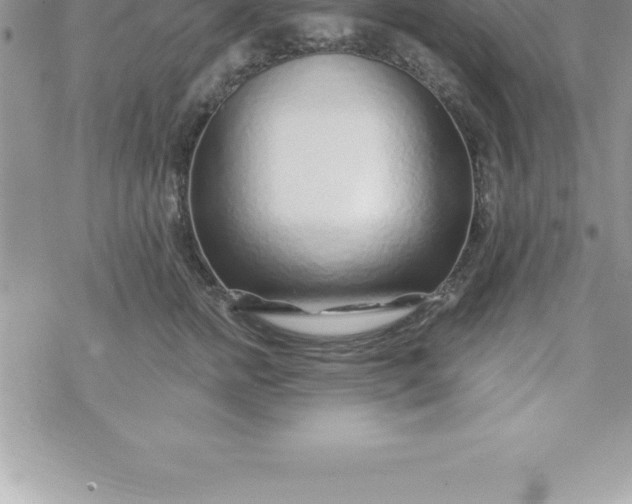 X0000069840758200606021401