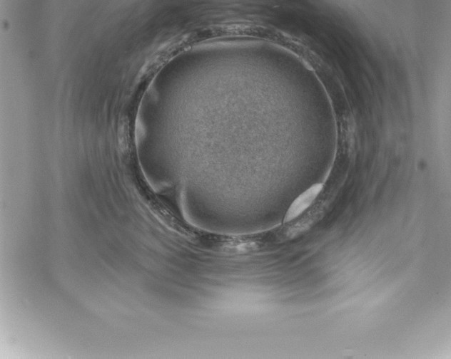 X0000069840760200606021401