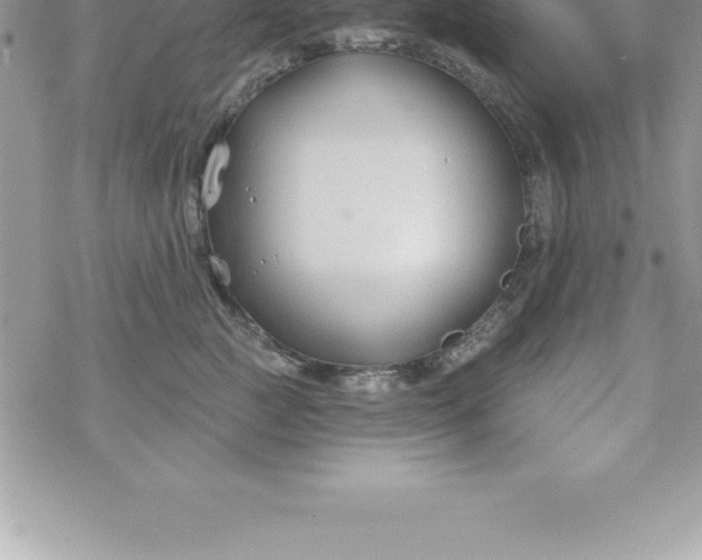 X0000069840761200606021401