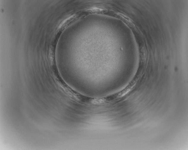 X0000069840762200606021401