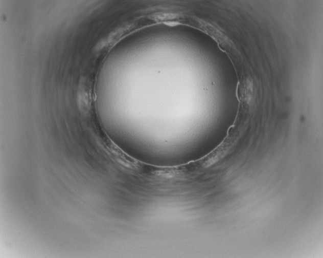 X0000069840763200606021401