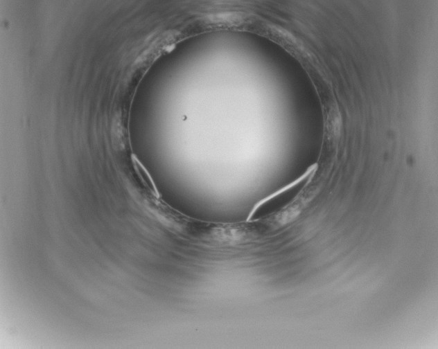 X0000069840764200606021401