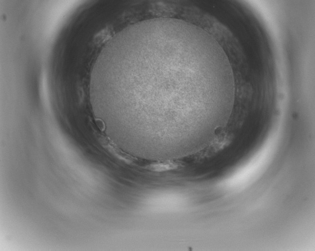 X0000069840765200606021401