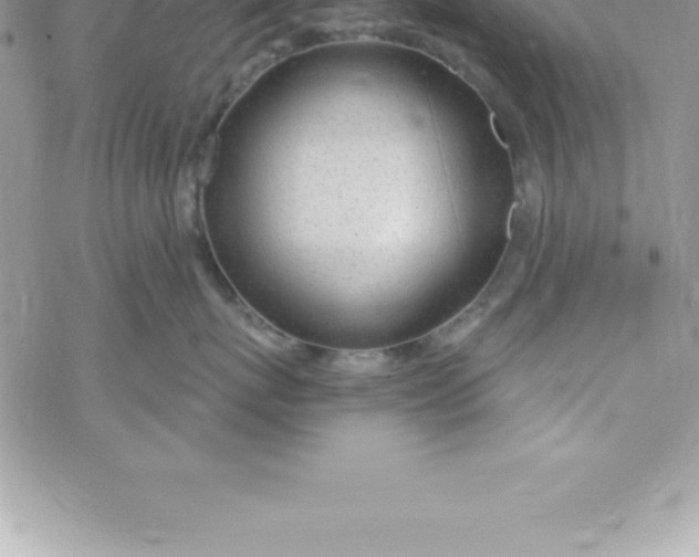 X0000069840767200606021401