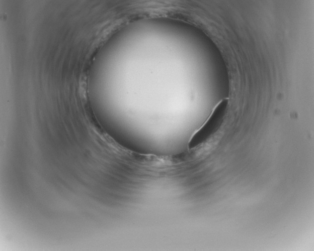 X0000069840768200606021401