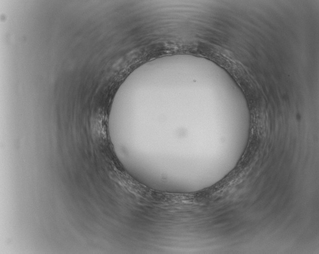 X0000069840770200606021400