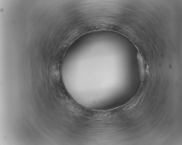 X0000069840771200606021400