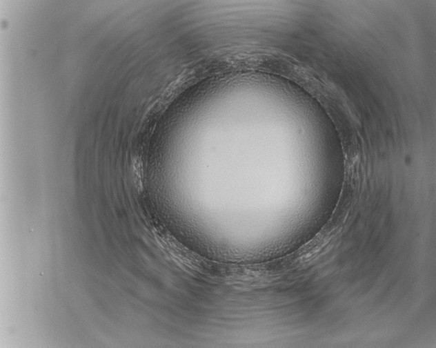 X0000069840772200606021400