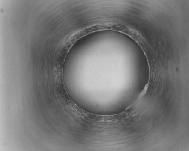 X0000069840773200606021400