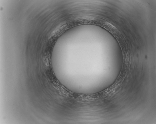 X0000069840774200606021400