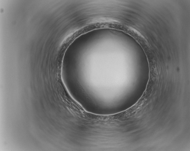 X0000069840775200606021400