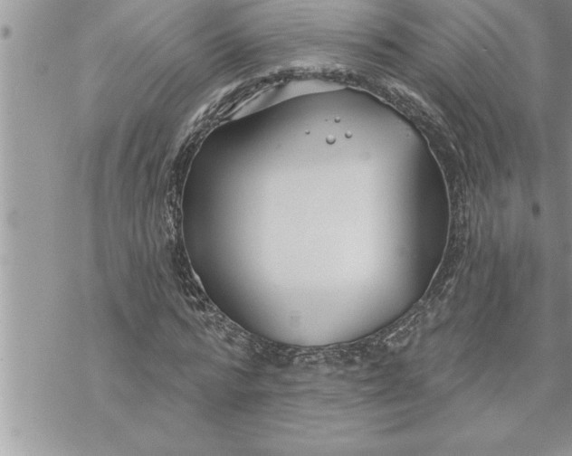 X0000069840776200606021400