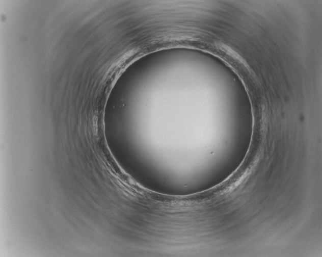 X0000069840777200606021400