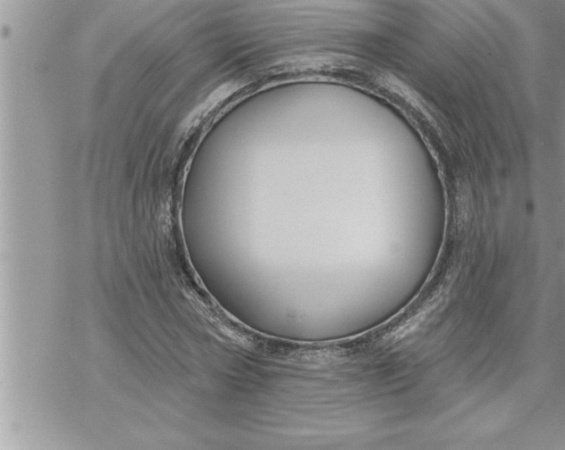 X0000069840778200606021400