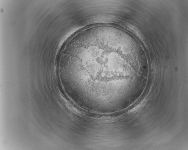 X0000069840779200606021400