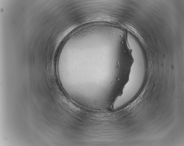 X0000069840780200606021400