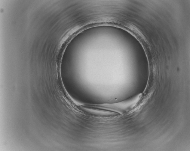 X0000069840781200606021400