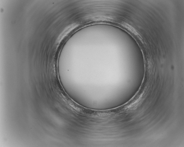 X0000069840782200606021400