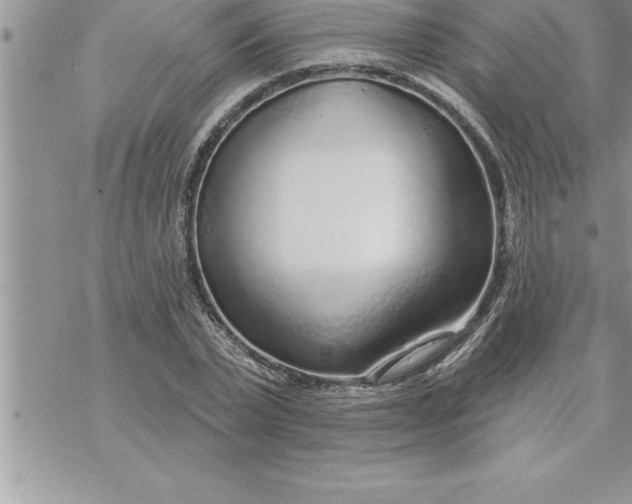 X0000069840783200606021400