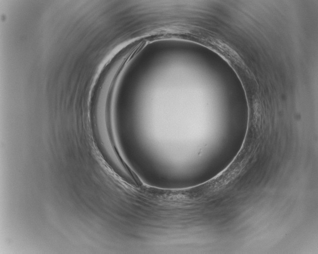 X0000069840784200606021400