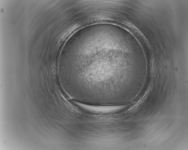 X0000069840785200606021400