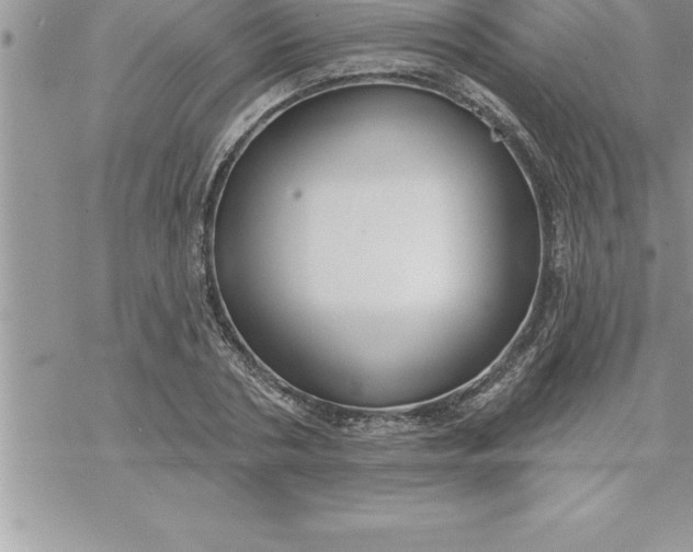 X0000069840786200606021400