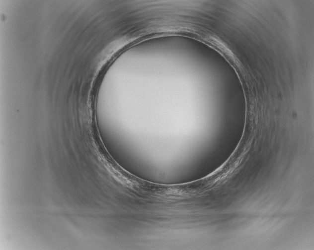 X0000069840787200606021400