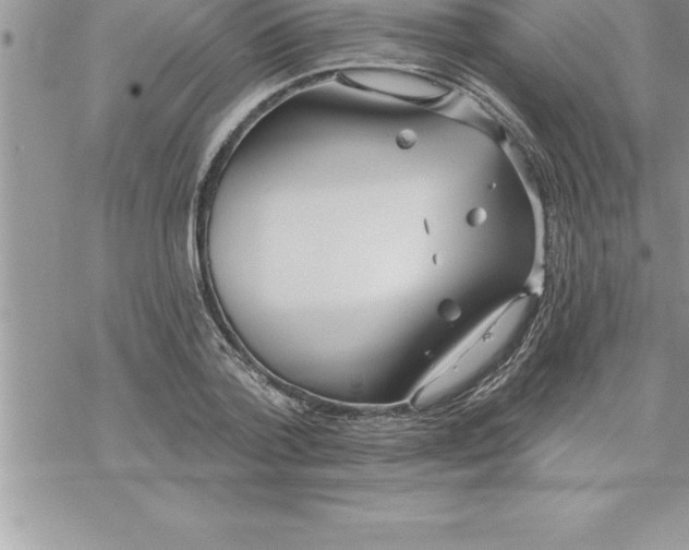 X0000069840788200606021400