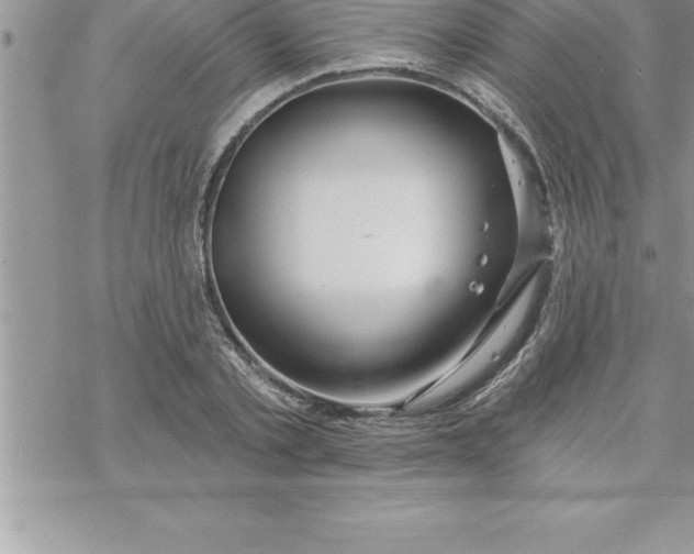 X0000069840789200606021400