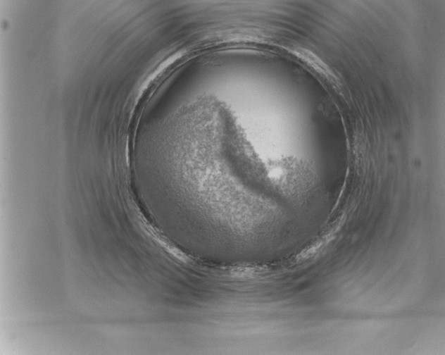 X0000069840790200606021400