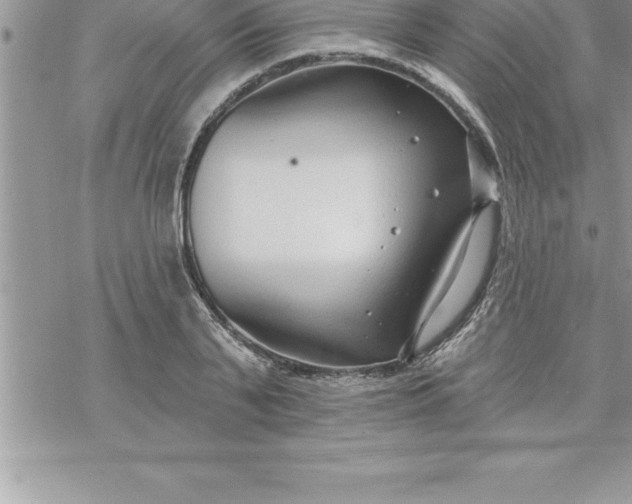 X0000069840791200606021400