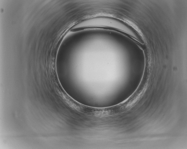 X0000069840793200606021400