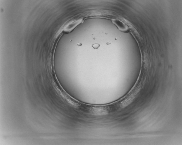 X0000069840794200606021400