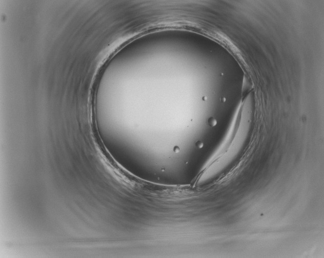 X0000069840795200606021400