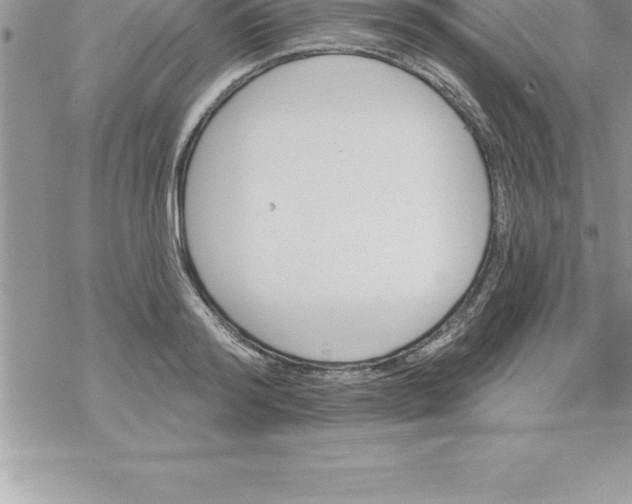 X0000069840796200606021400