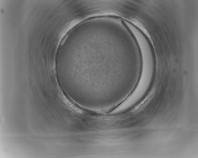 X0000069840797200606021400